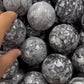 insect fossil sphere