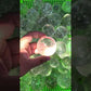 Clear Quartz sphere