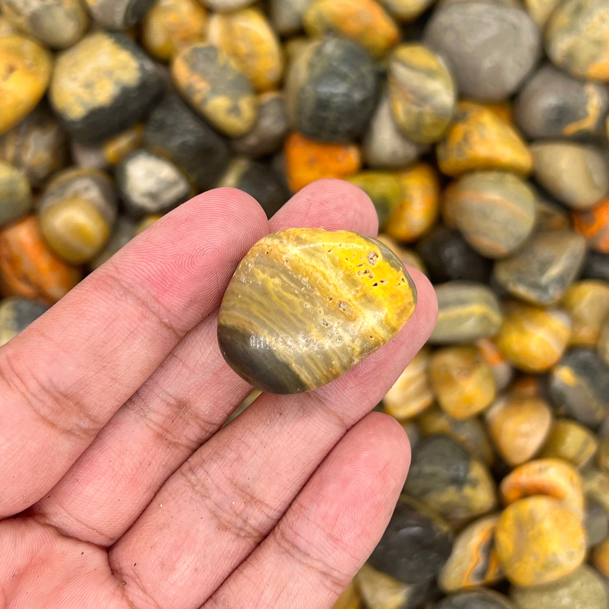 Bumble Bee Jasper | Bumble Bee Tumbled Stone | WaterfrontCrystal