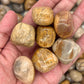 Fossil Coral Tumbled Stones（20-30mm） WaterfrontCrystal
