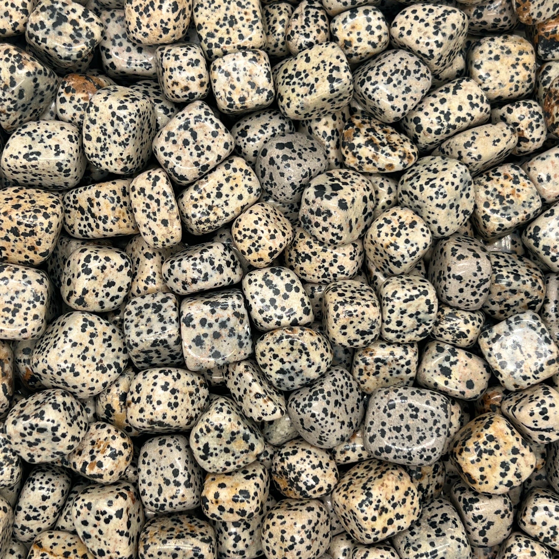 Dalmatian Jasper Tumbled | Dalmatian Jasper Stone | WaterfrontCrystal