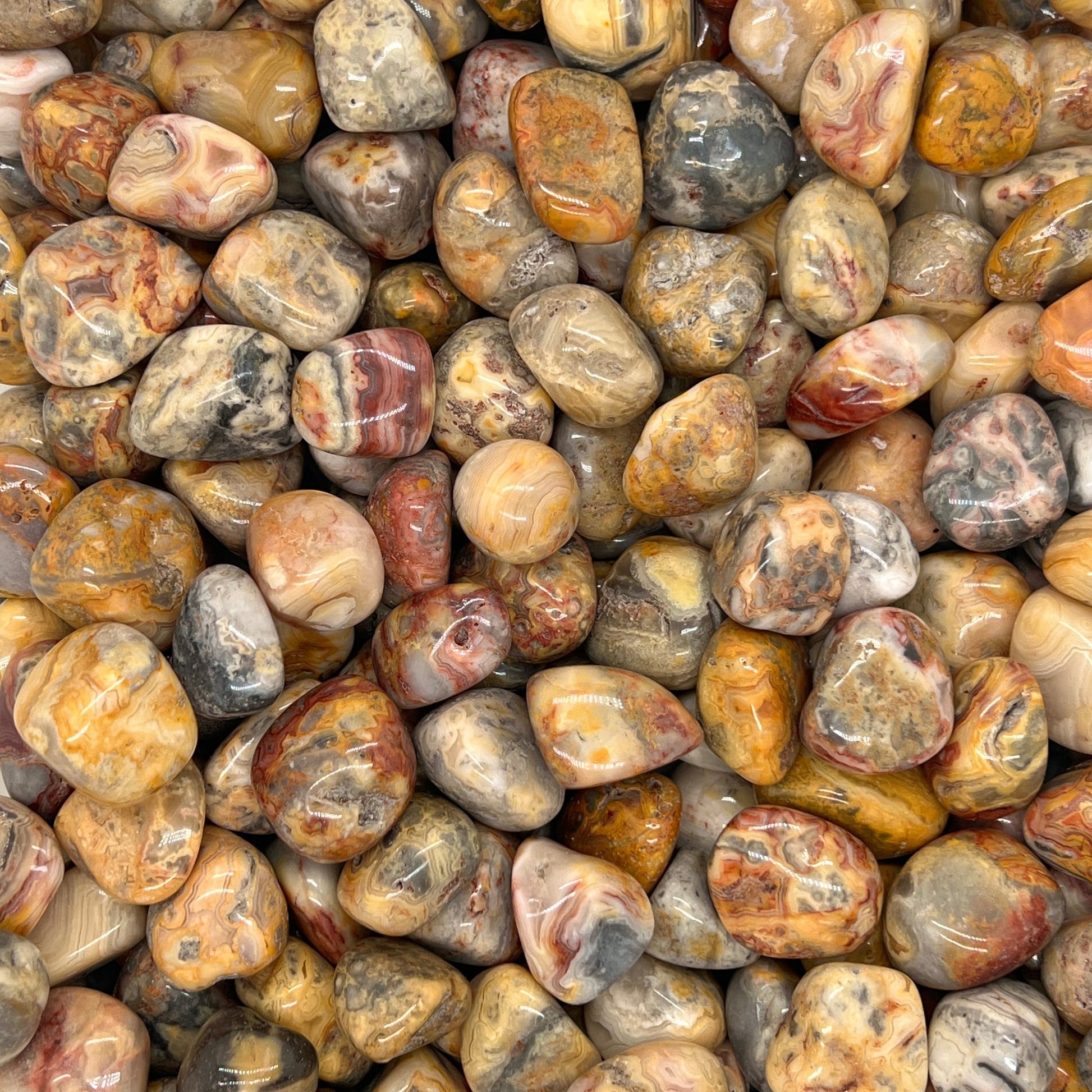 Crazy Lace Agate Tumbled Stones（20-30mm） WaterfrontCrystal