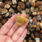 Crazy Lace Agate Tumbled Stones（20-30mm） WaterfrontCrystal