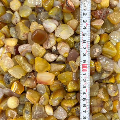 Yellow Agate Tumbled Stones（20-30mm） WaterfrontCrystal
