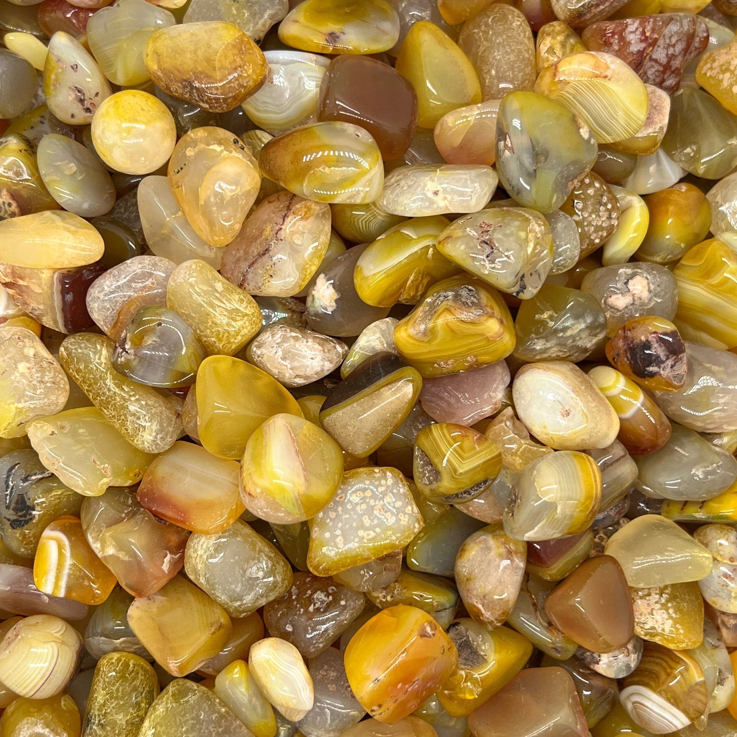 Yellow Agate Tumbled Stones（20-30mm） WaterfrontCrystal