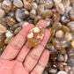Sakura Agate Tumbled Stones（20-30mm） WaterfrontCrystal