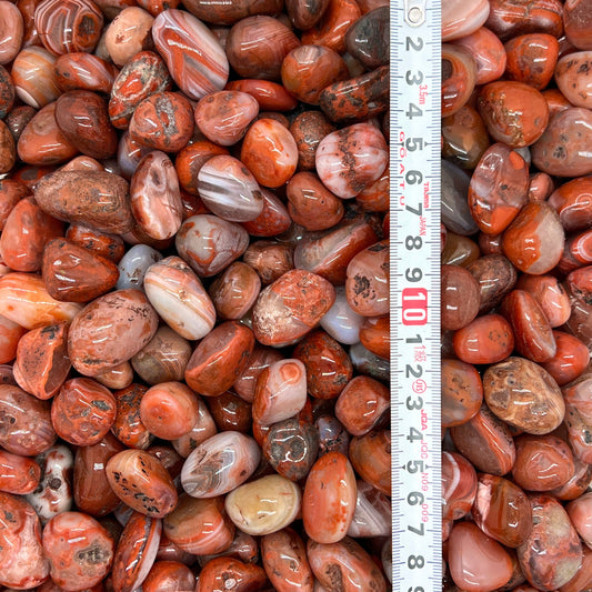 South Red Agate Tumbled Stones（20-30mm） WaterfrontCrystal