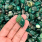 Green Agate Tumbled Stones（20-30mm） WaterfrontCrystal