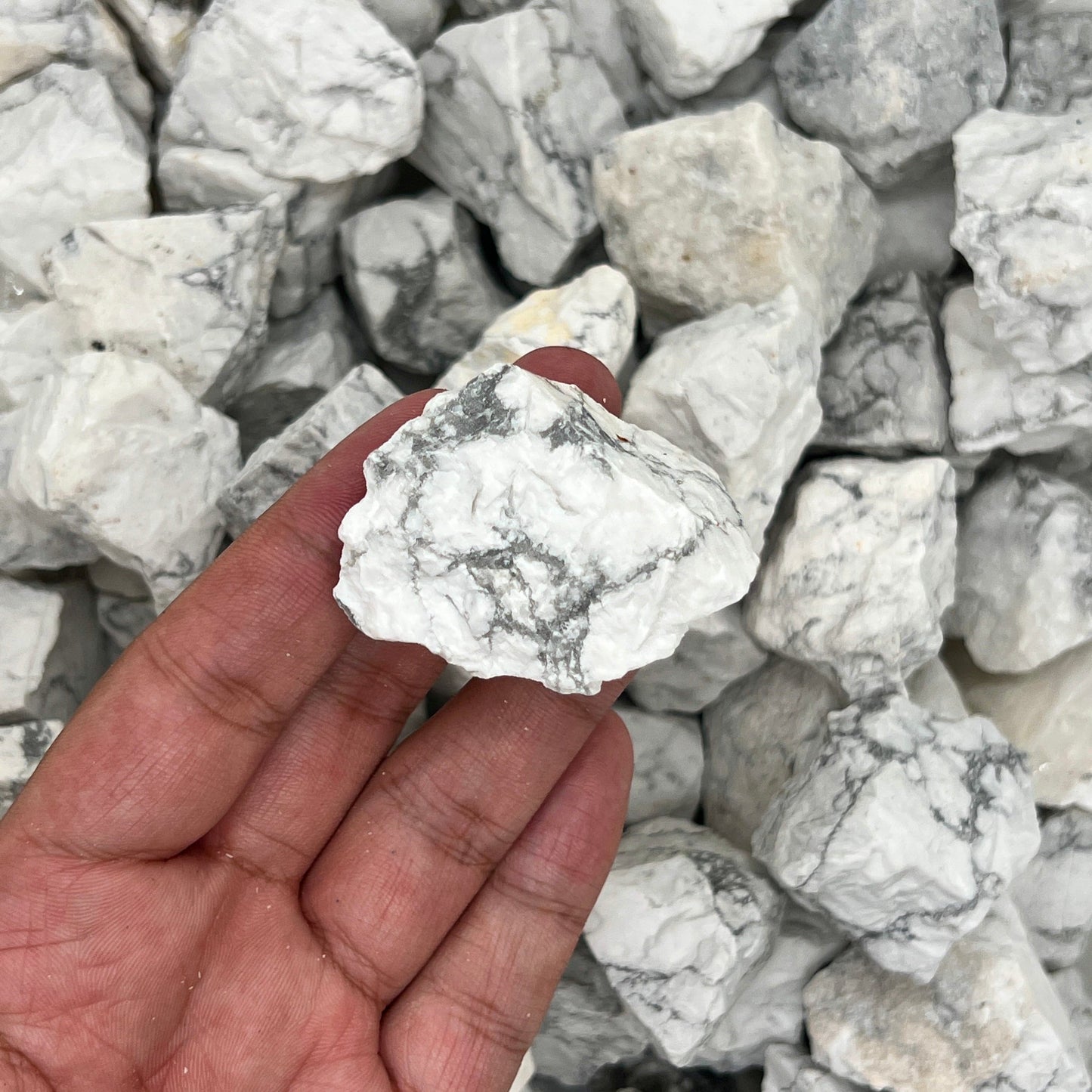 Howlite Rough Stones WaterfrontCrystal