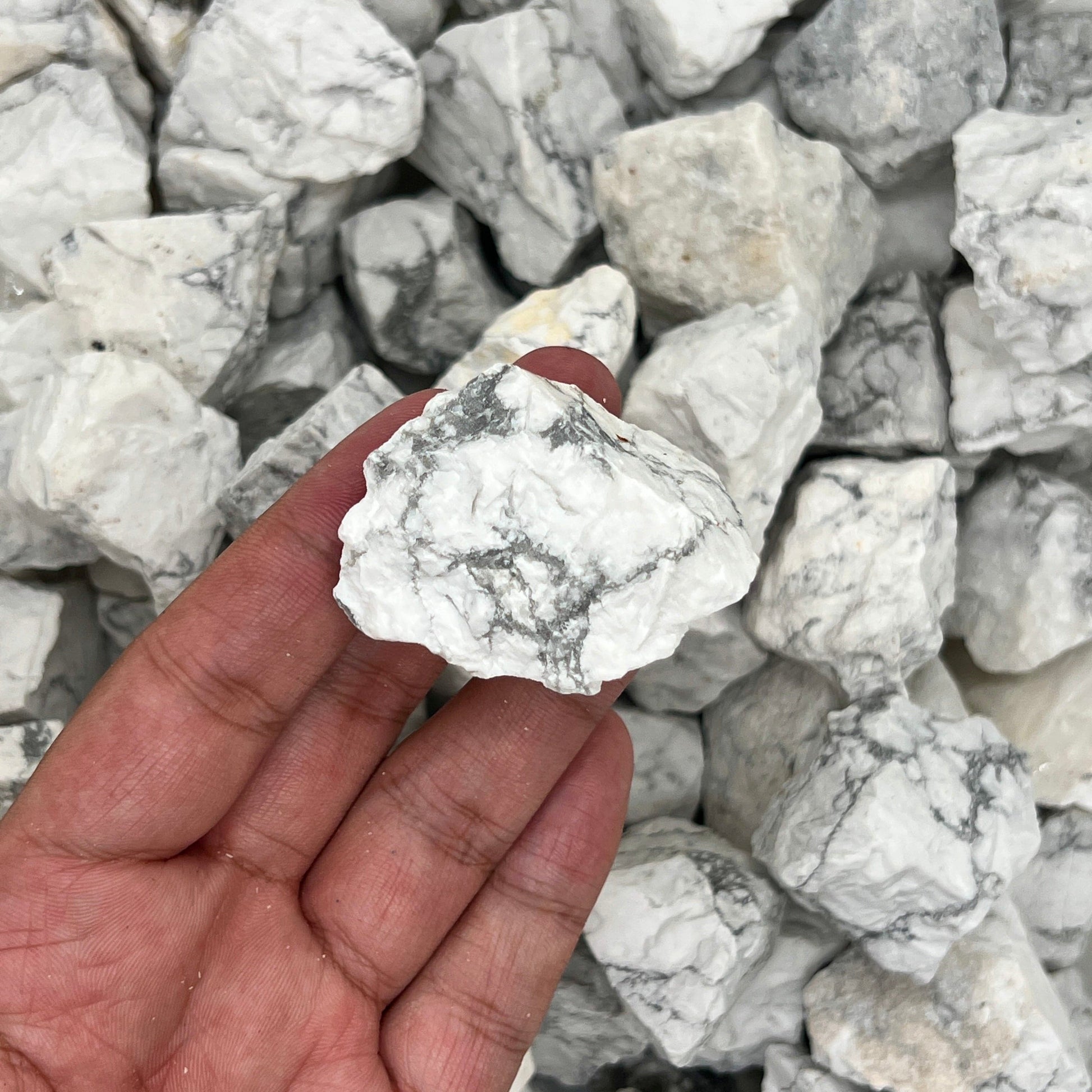 Howlite Rough Stones WaterfrontCrystal