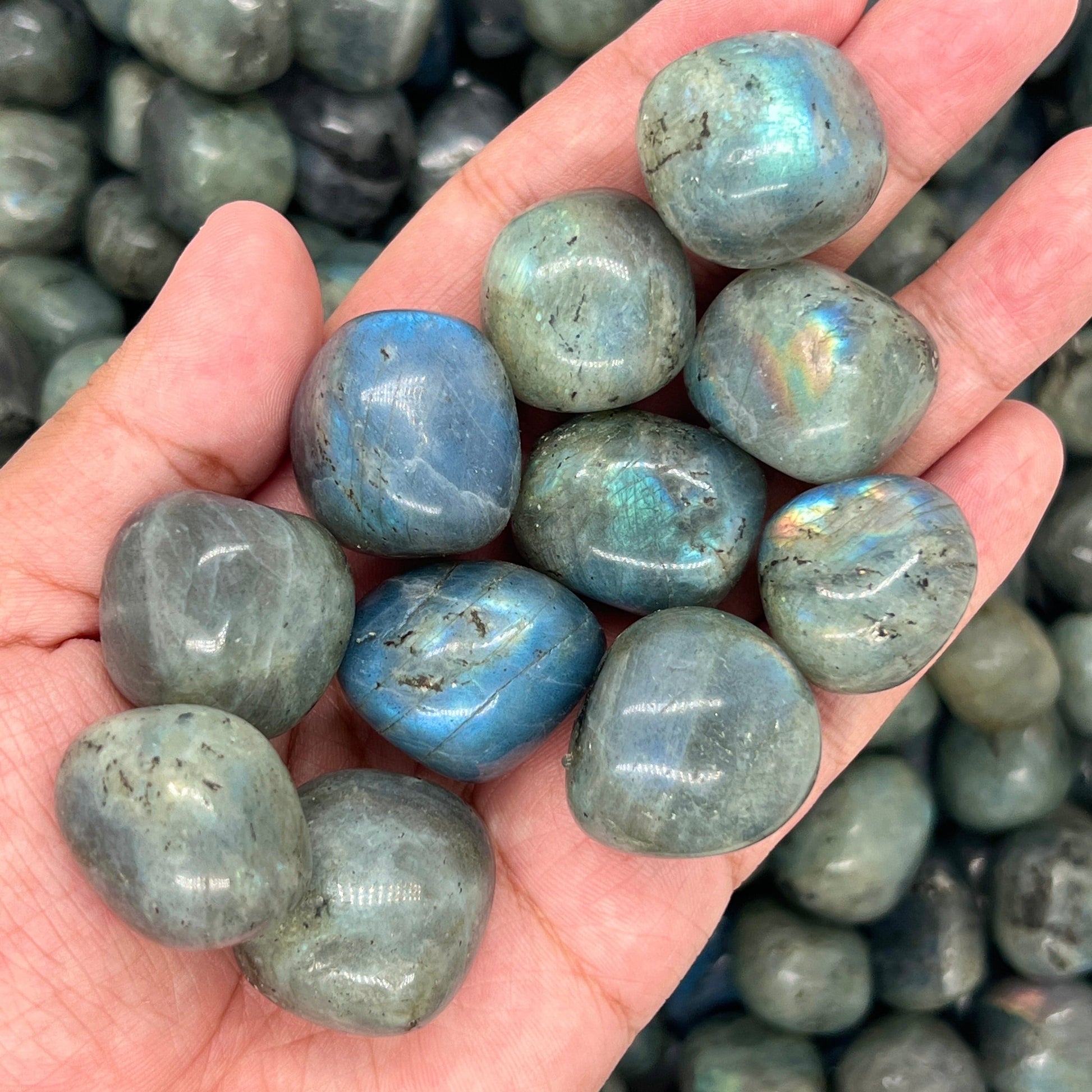 Labradorite Tumbled Stones（20-30mm） WaterfrontCrystal