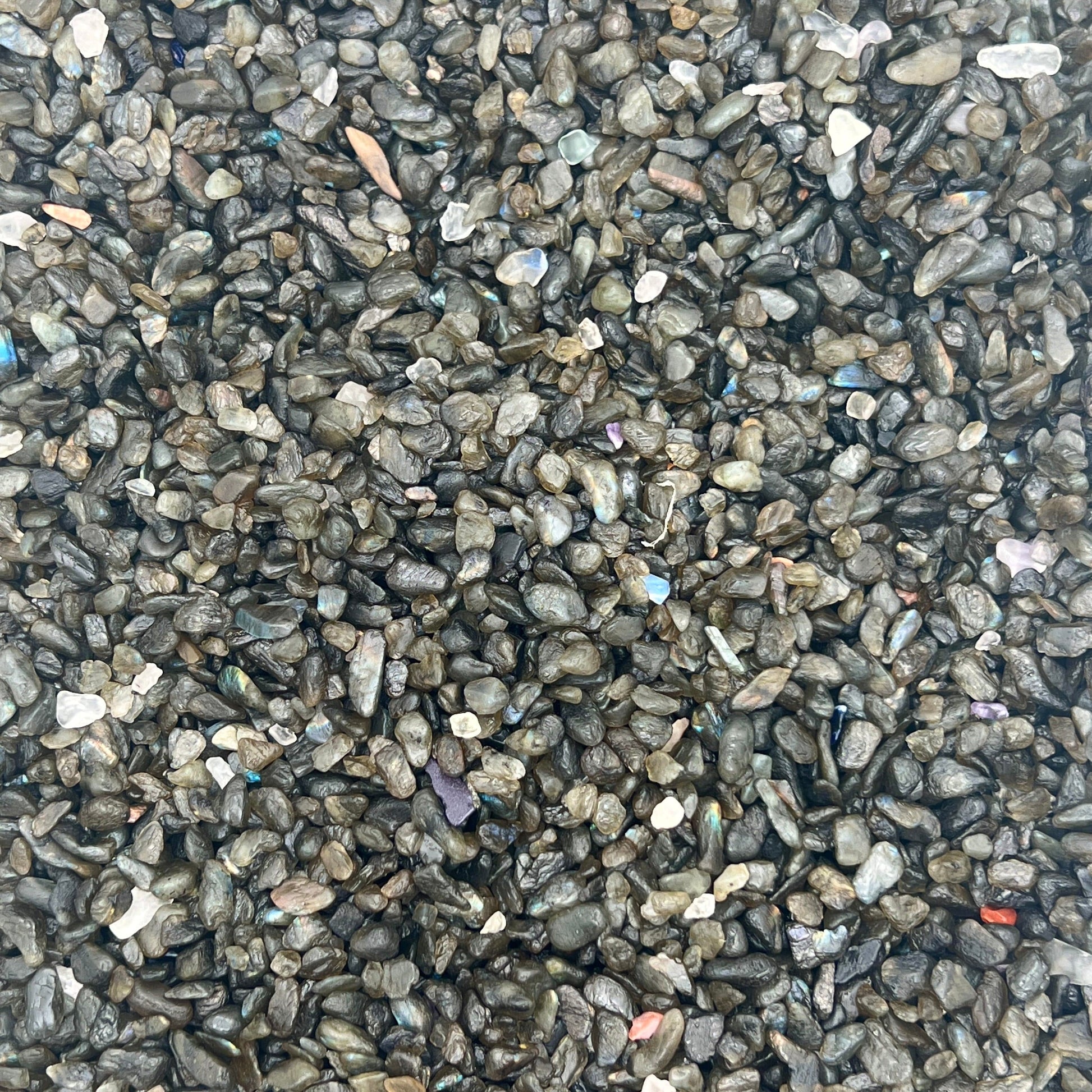Labradorite Crystal Chips（5-8mm） WaterfrontCrystal