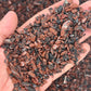 Mahogany Obsidian Chips（5-8mm） WaterfrontCrystal