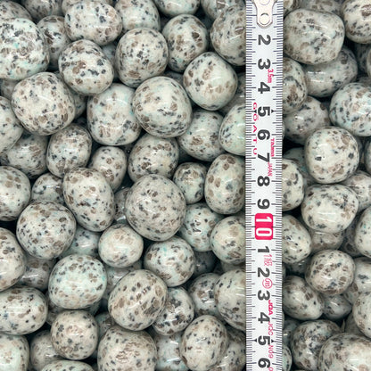 Kiwi Sesame Tumbled Stones（20-30mm）