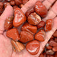 Red Jasper Tumbled Stones（20-30mm） WaterfrontCrystal