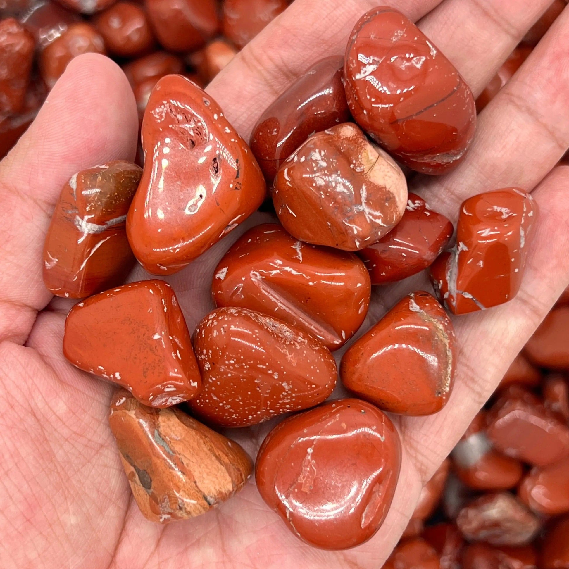 Red Jasper Tumbled Stones（20-30mm） WaterfrontCrystal