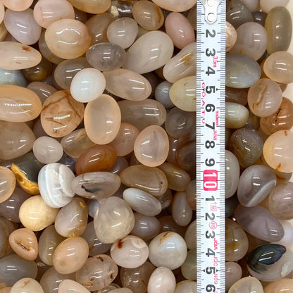 White Agate Tumbled Stones（20-30mm） WaterfrontCrystal